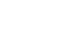 WDN Logo weiss